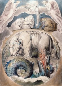 Behemoth og Leviathan